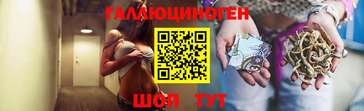 Псилоцибиновые грибы Psilocybe Благовещенск